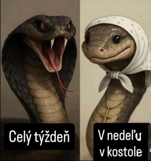 slovenskí pánbožkári