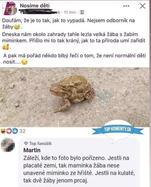 Dezolé veda